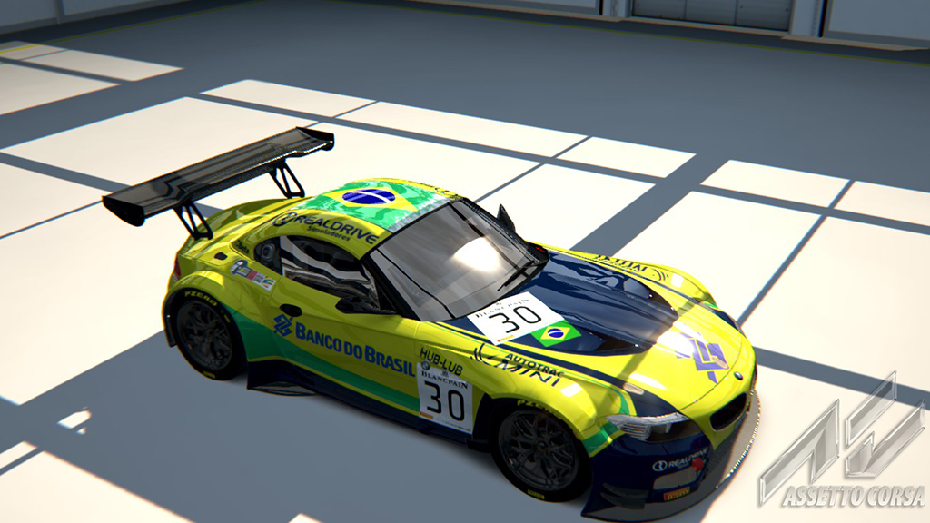 BMW Z4 GT3, skin Brazilian_BMW