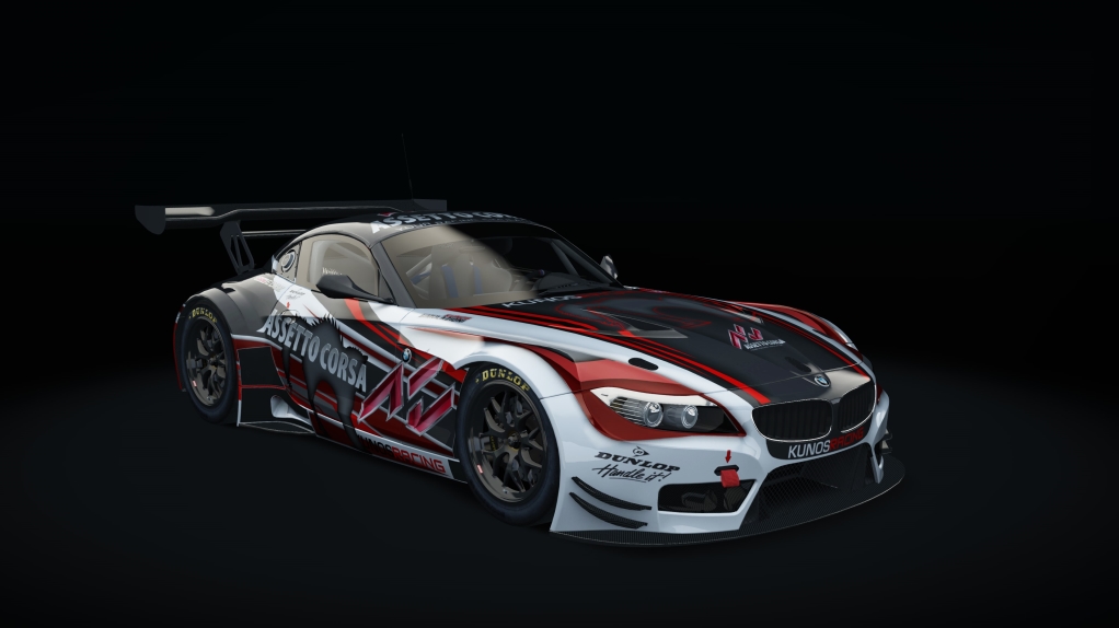 BMW Z4 GT3, skin assetto_z