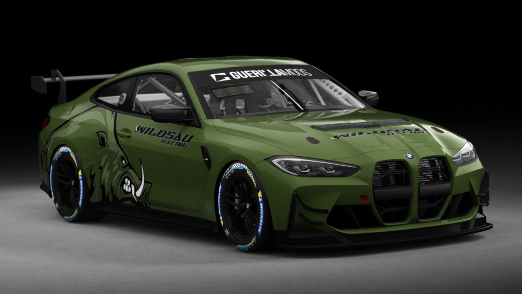 BMW M4 GT4 G82, skin 9_Wildsau_Racing