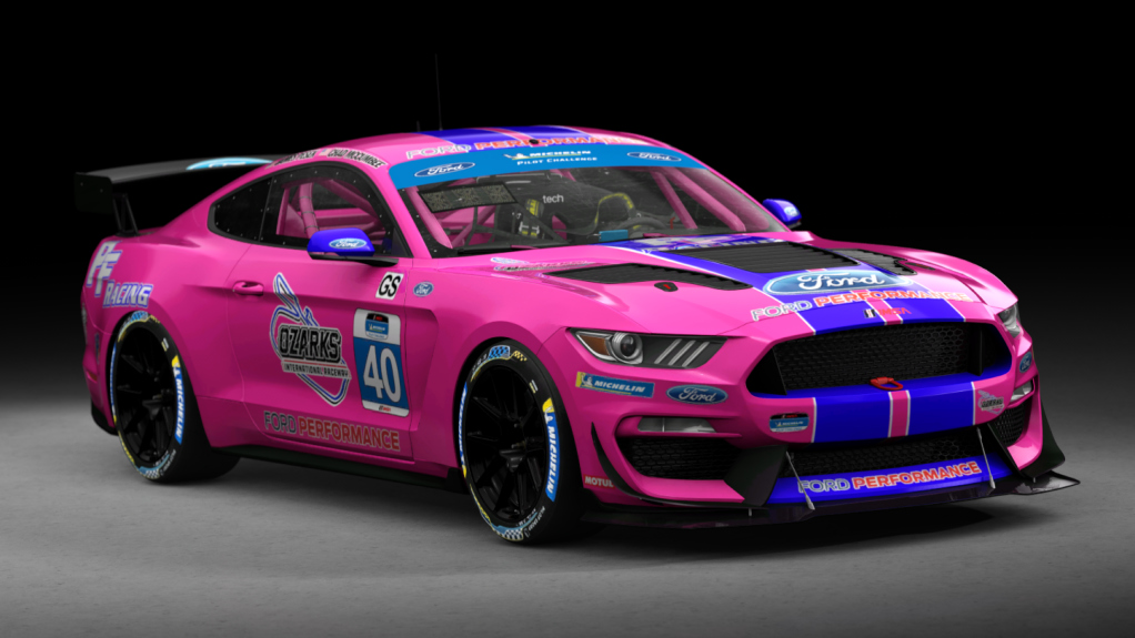 Ford Mustang GT4, skin 2022_PF_Racing_40