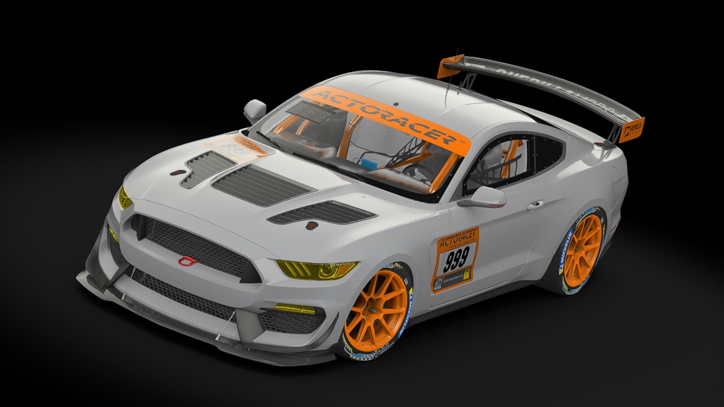 Ford Mustang GT4, skin 24h template