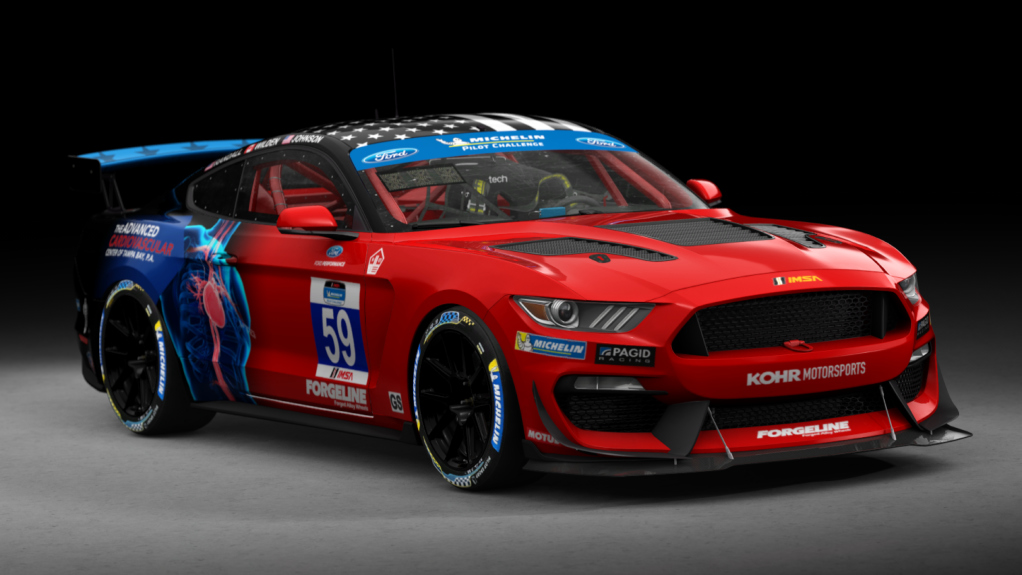 Ford Mustang GT4, skin 59_kohr_motorsport