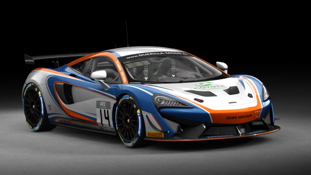 McLaren 570S GT4, skin rm_gt4_european_series_2019_equipe_verschuur_14