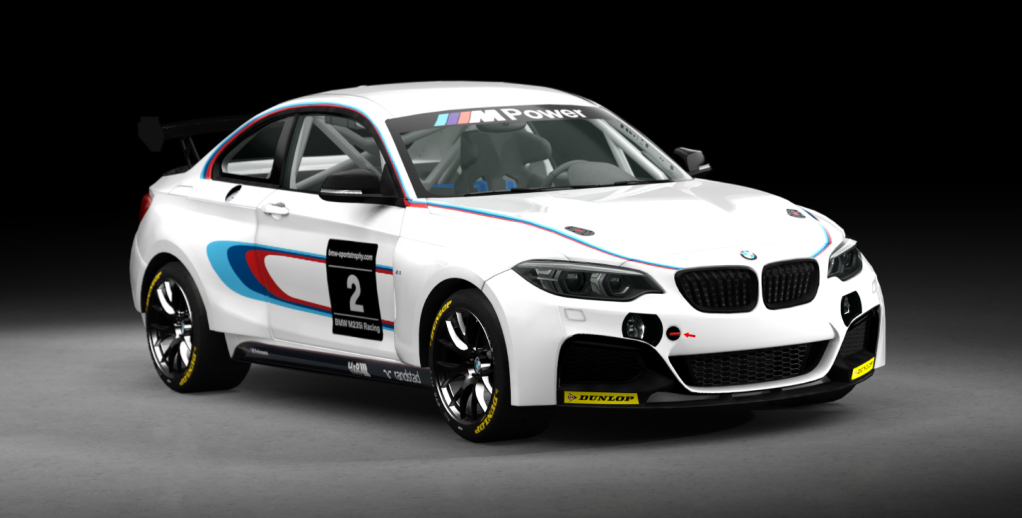 BMW M240i Cup, skin racing_2