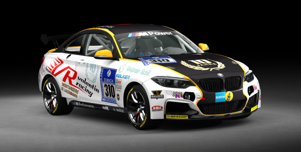 BMW M240i Cup, skin racing_310