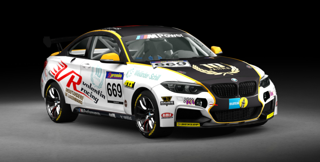 BMW M240i Cup, skin racing_669