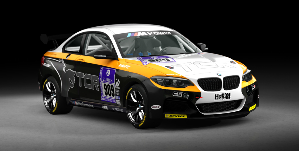 BMW M240i Cup, skin racing_909