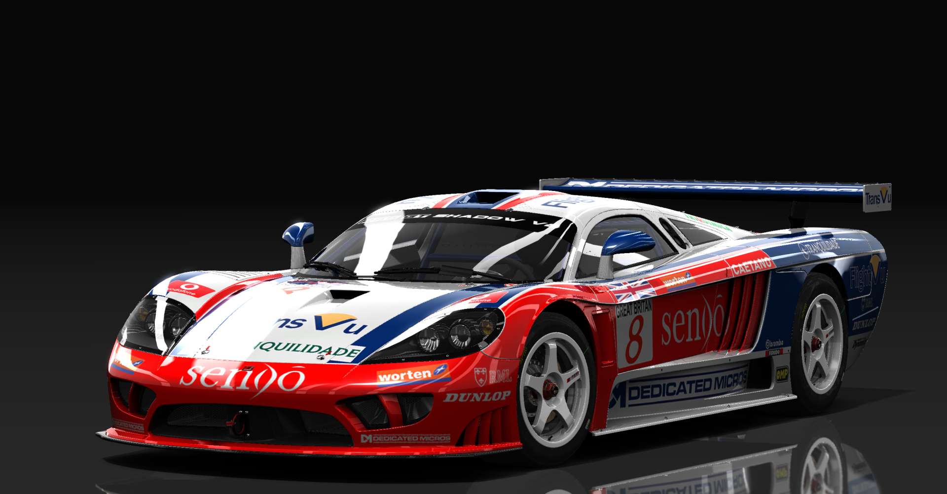 Saleen S7R, skin FIA_GT1_04_RML_08